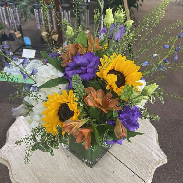 Summer Sweetness