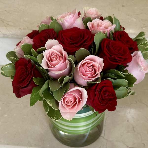 Pink and red roses arranged in a striped glass vase