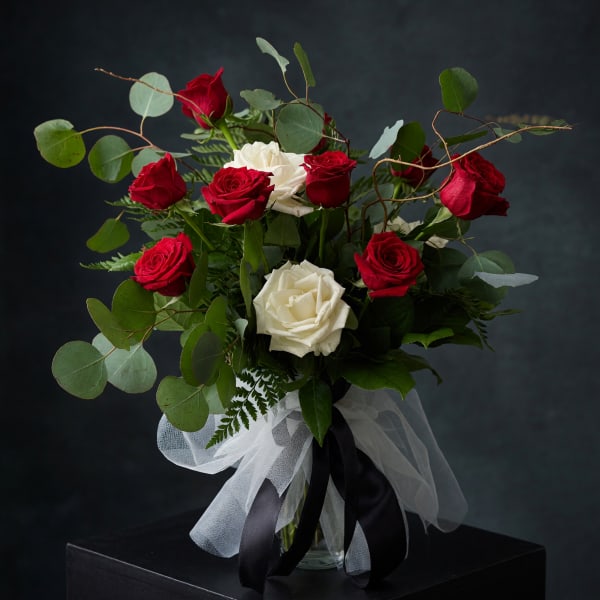 Midnight & Roses