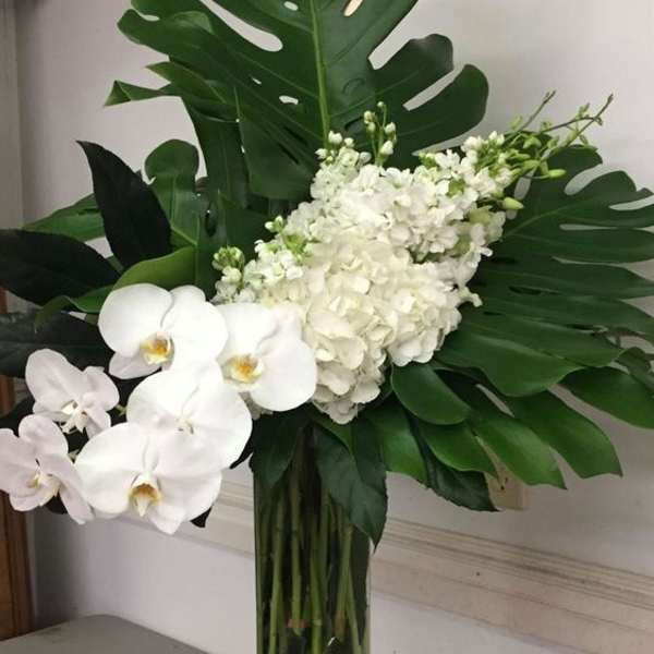White orchids and hydrangea in a tall glass vase with large tropical leaves