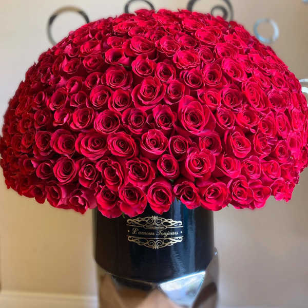 Large dome of red roses tightly arranged in a black hat box-style container