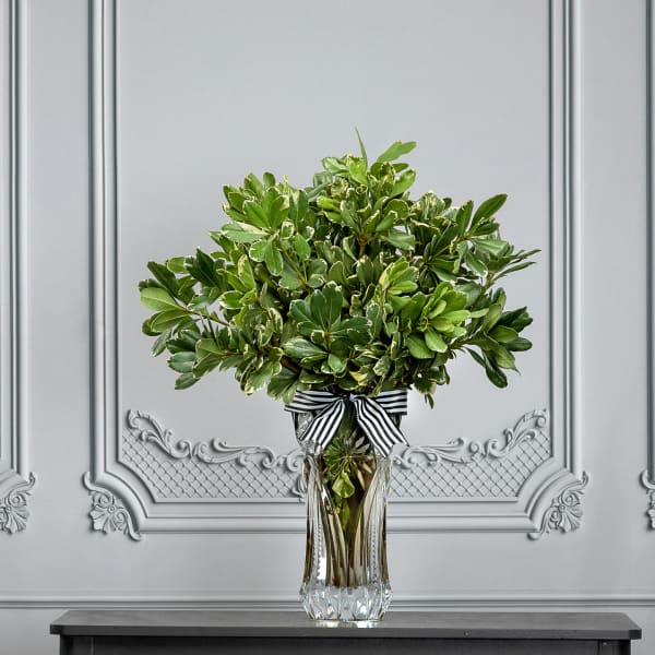 Green leafy arrangement in a clear glass vase with a striped ribbon
