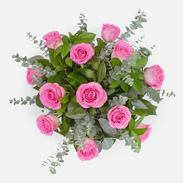 Pink roses arranged with eucalyptus on a white background