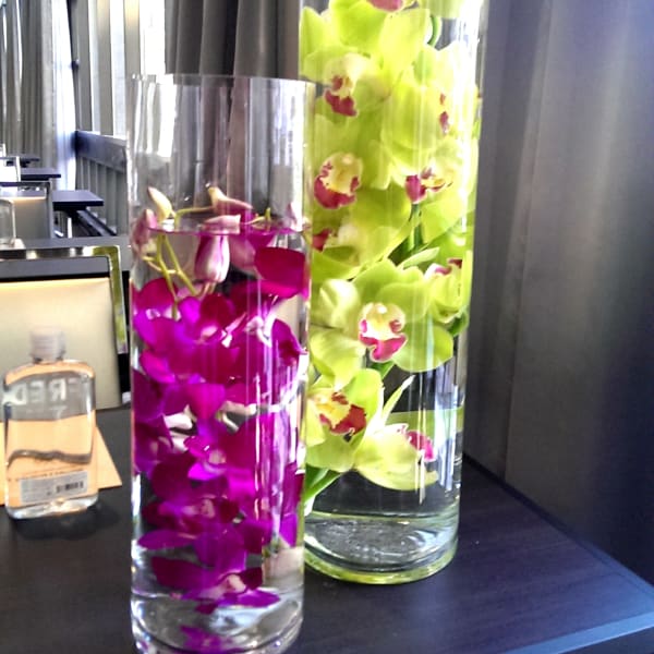 Submerged Orchids