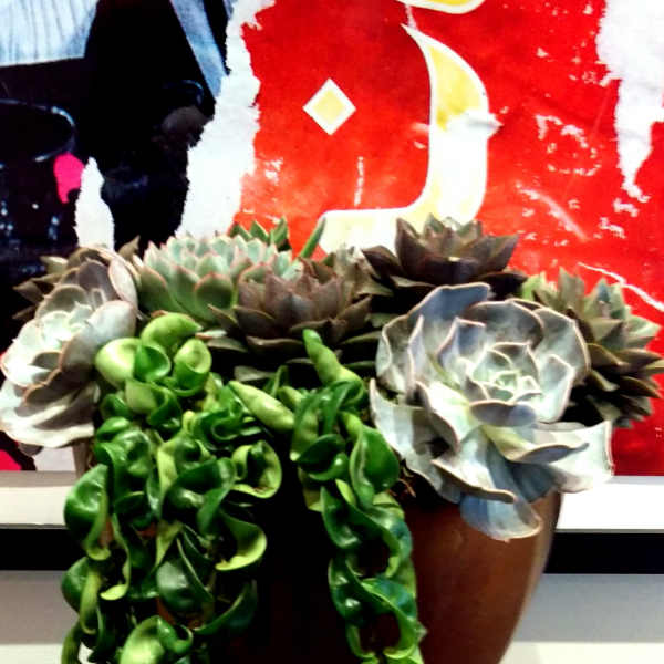 Succulent arrangement in a brown pedestal vase with trailing greenery