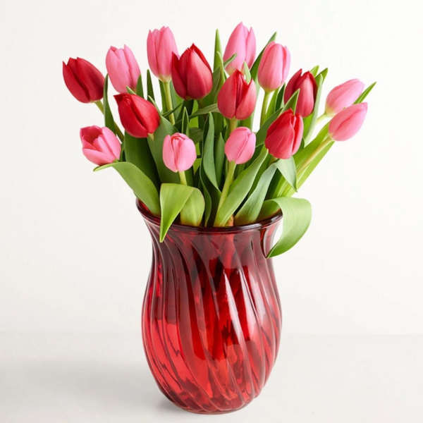 Pink and red tulips arranged in a red glass vase
