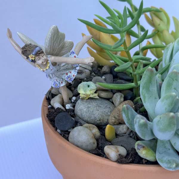 Succulent Fairy Garden