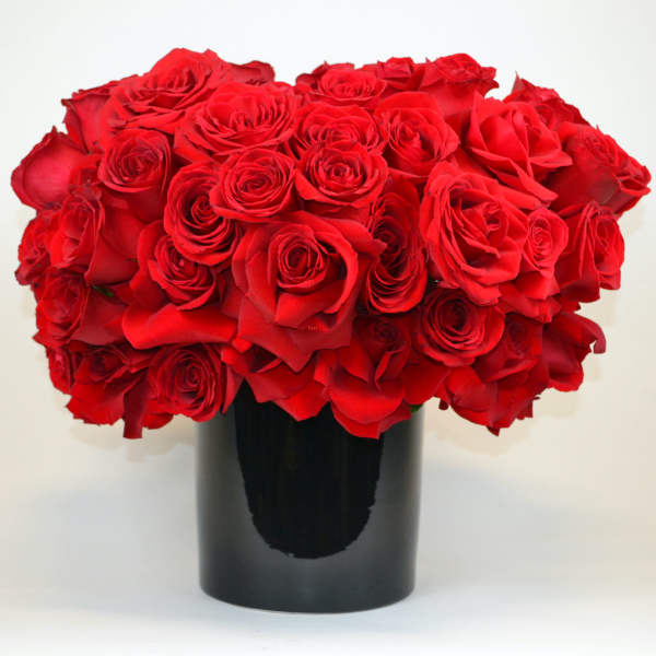 Essense 0f Romance
