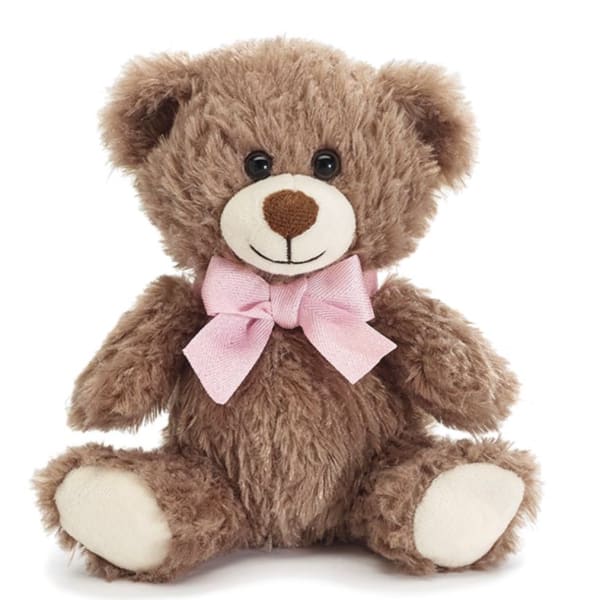 Brown teddy bear with a pink bow on a white background
