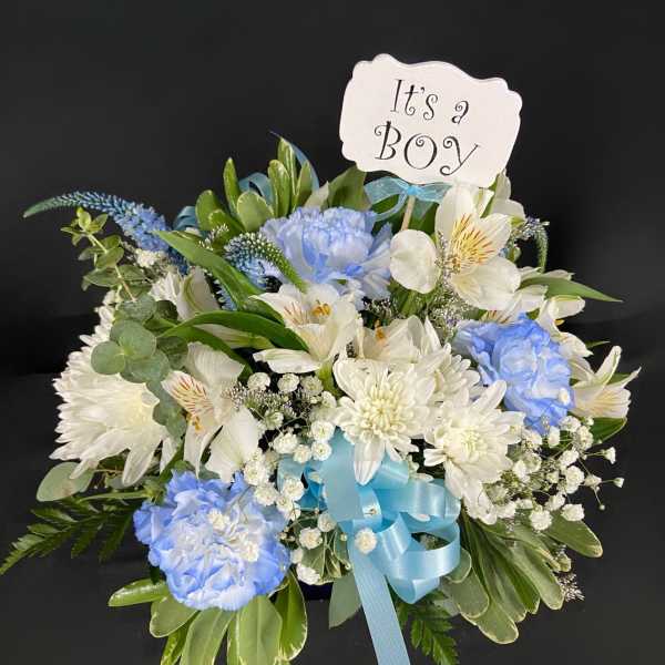 Sweet Baby Blue