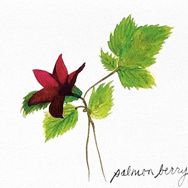 Single red flower with green leaves on white paper