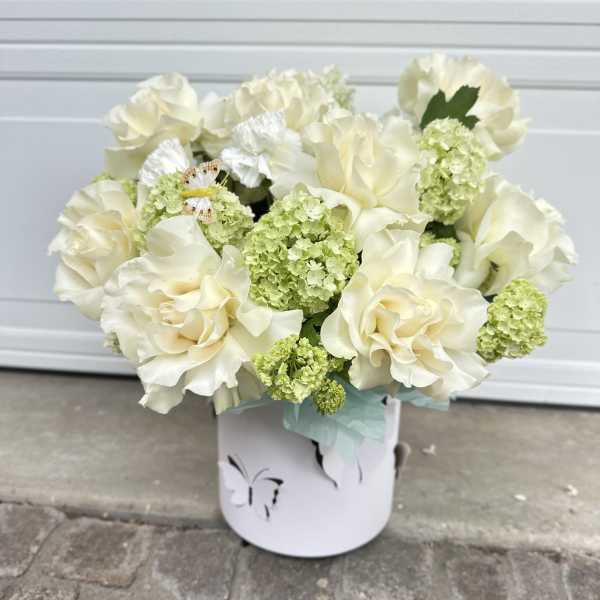 Spring in the Heart