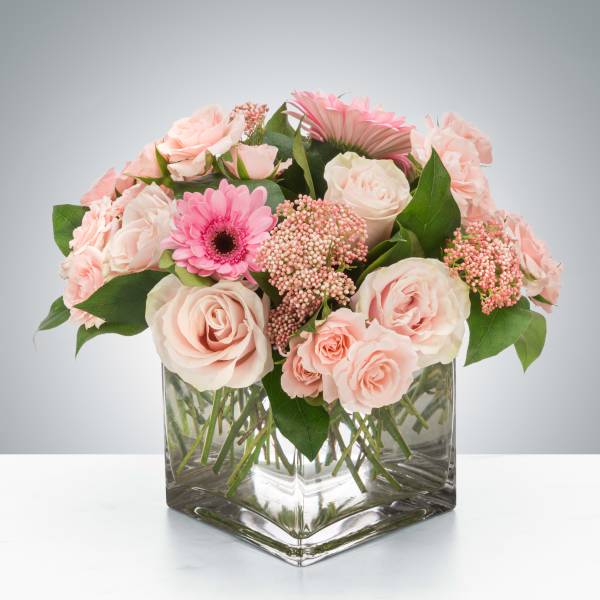 Pink roses and gerbera daisies arranged in a square glass vase