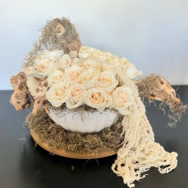 Driftwood Dreams