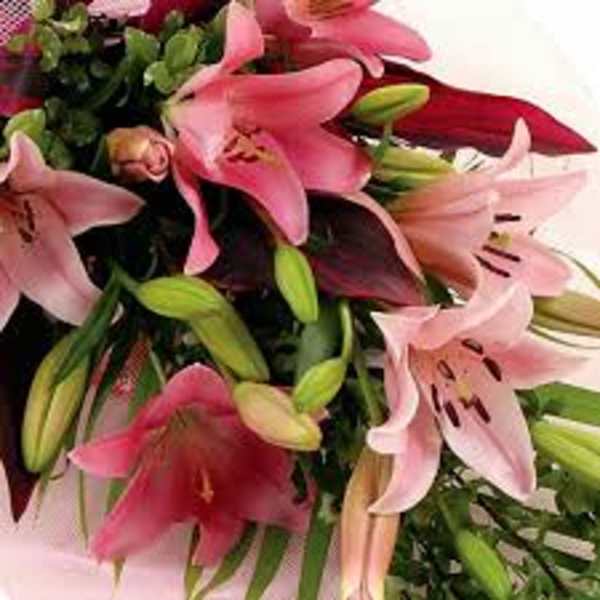 Bouquet of pink and red lilies with unopened buds