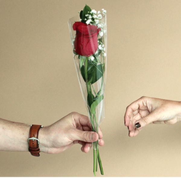 Single red rose in clear plastic wrap being handed over