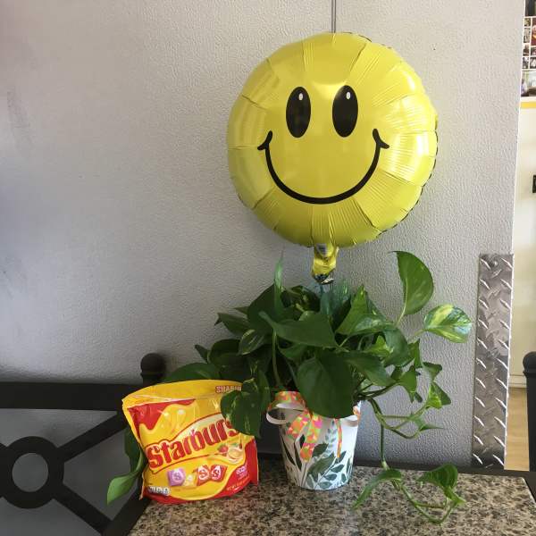 Potted green plant with a yellow smiley-face balloon and a candy bag
