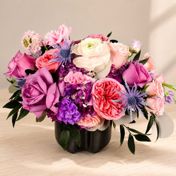 Velvet Blush