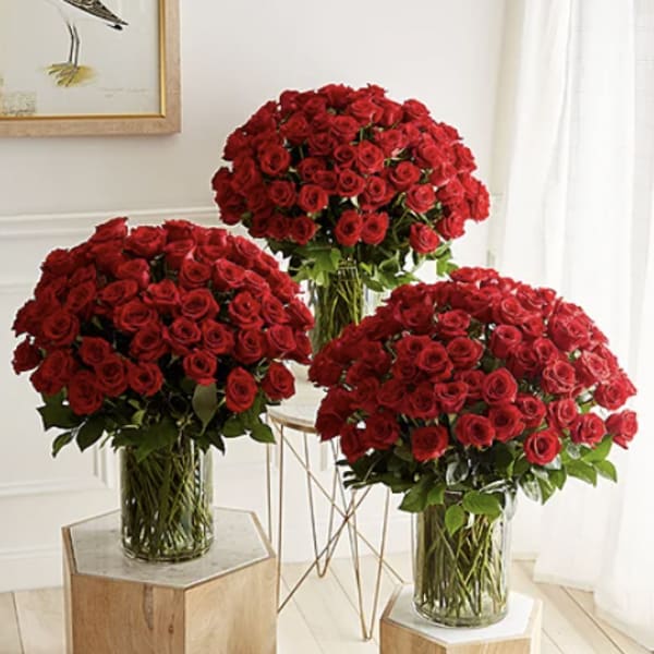 Three large bouquets of red roses in clear glass vases