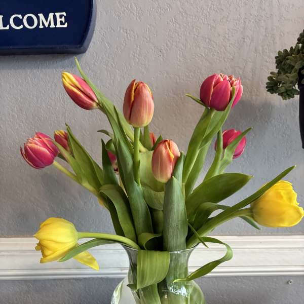 Tulips