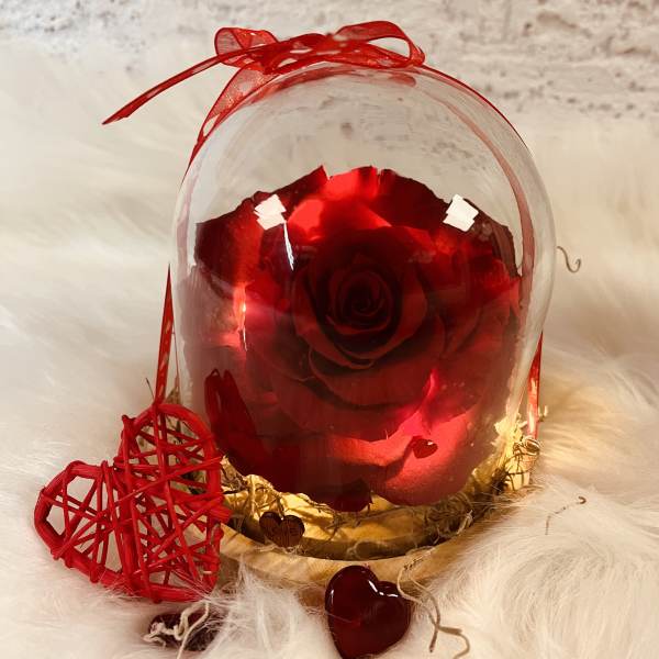 Red rose under a clear dome with a ribbon bow and heart decorations