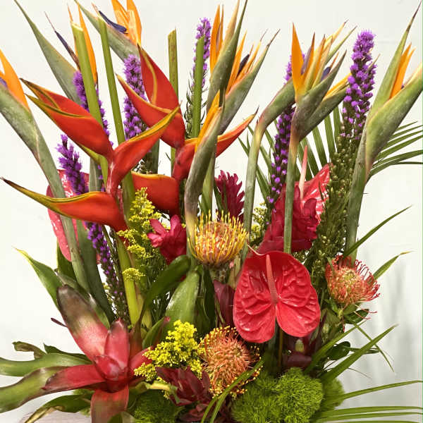 Tropical floral arrangement with red anthuriums and orange heliconia in a gray container