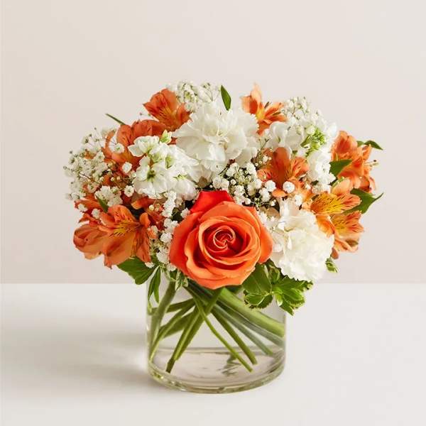 Loving Sentiments™ Peach, Orange & White