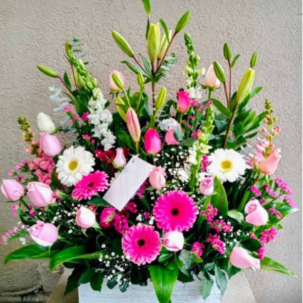Blush Garden Elegance