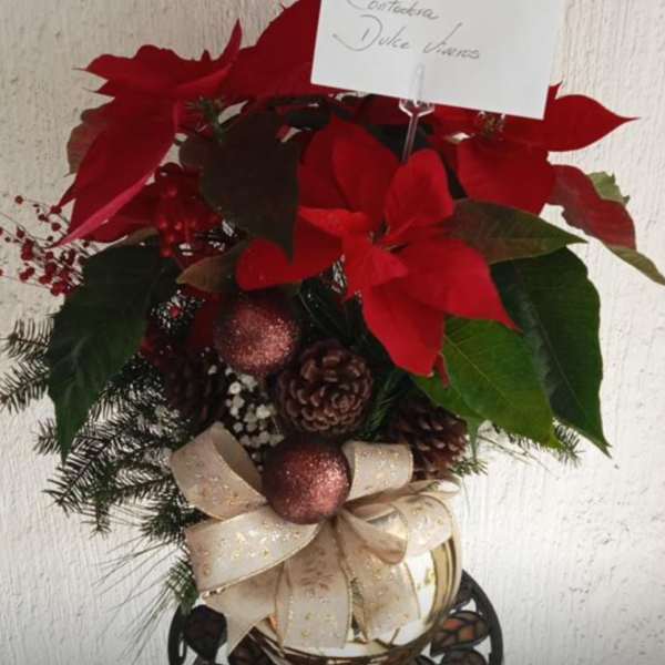 Holiday Red Charm