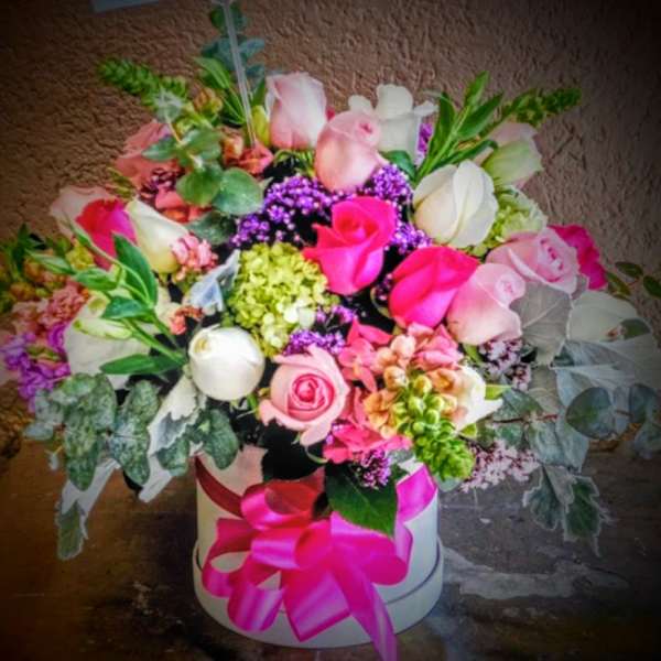Pink Velvet Garden Box
