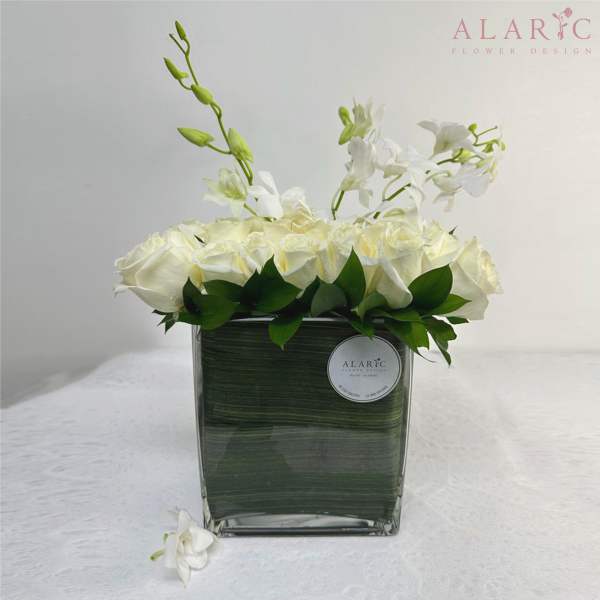 Harper