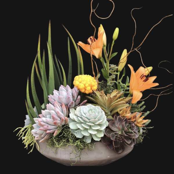 Succulent arrangement with orange lilies in a shallow bowl