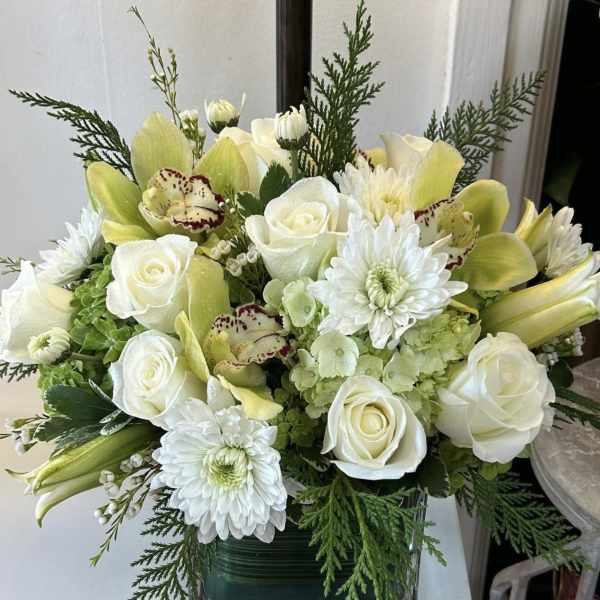 Christmas White