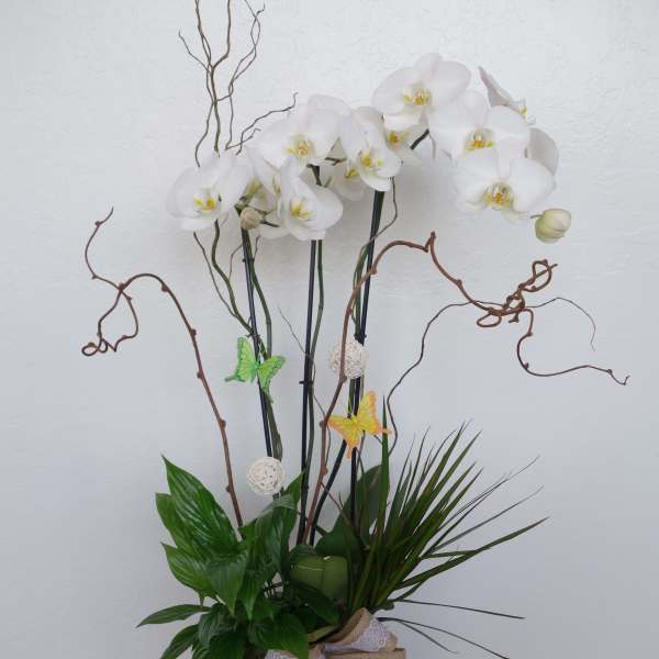 White orchid arrangement in a red vase with decorative branches