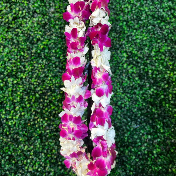 Pink and white orchid lei draped over a black stand