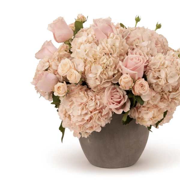 Blush pink roses and hydrangeas arranged in a gray vase
