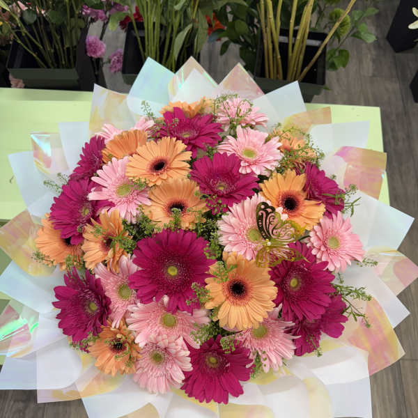 Bouquet of pink and orange gerbera daisies wrapped in iridescent paper
