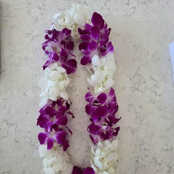 Double Orchid Lei - Purple & White
