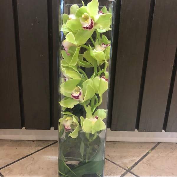 Tall glass vase with green orchids and dark stones