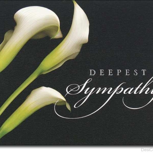 Three white calla lilies on a dark background with sympathy text