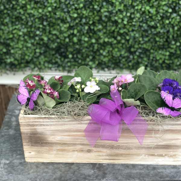 Rectangular wooden planter with small purple and white flowers and butterfly picks
