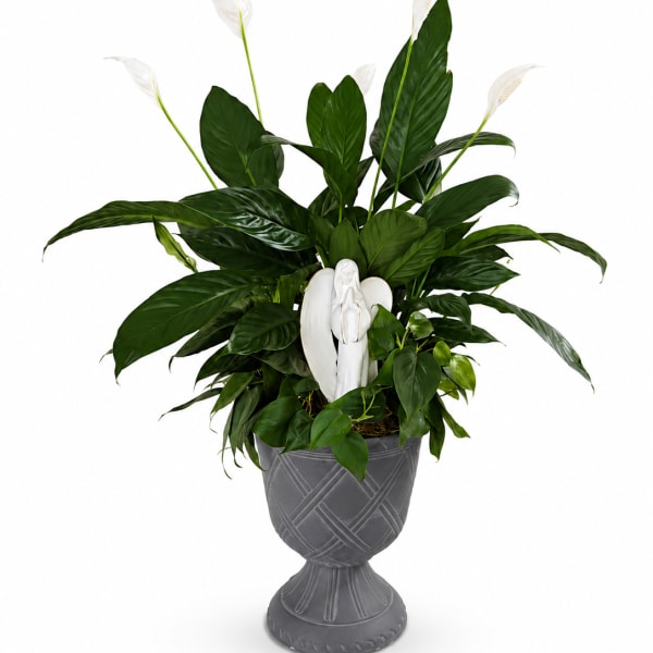 White peace lilies in a gray urn planter with a white angel figurine