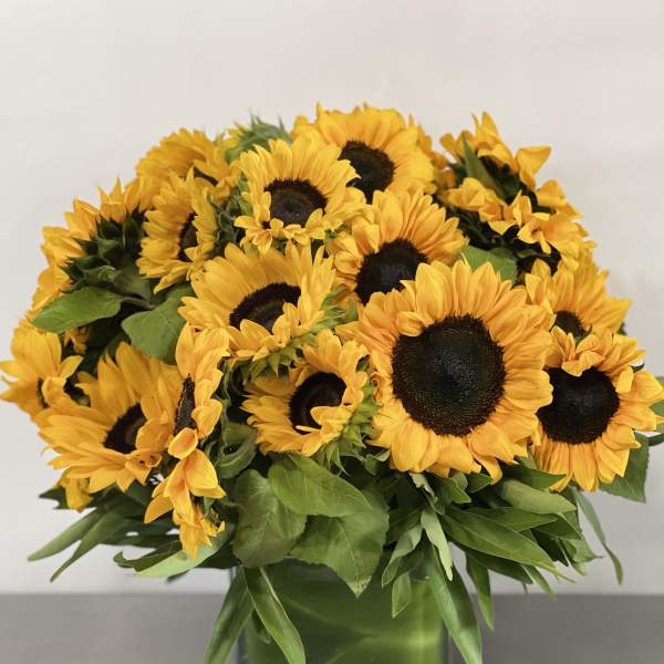 Sunshine in Vase
