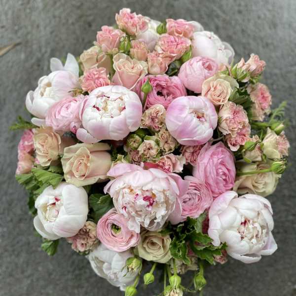 Blush & Bashful