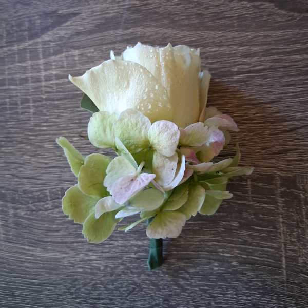 Cream rose boutonniere with pale green hydrangea petals