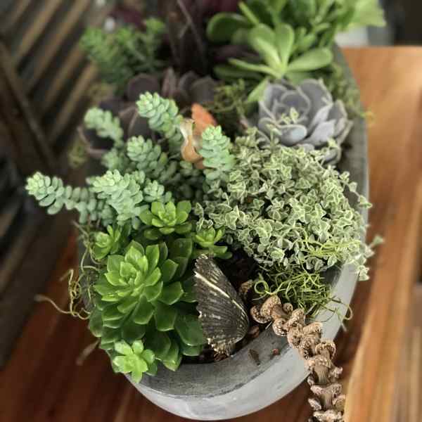 Potted succulent arrangement in a gray container with mixed green and purple plants