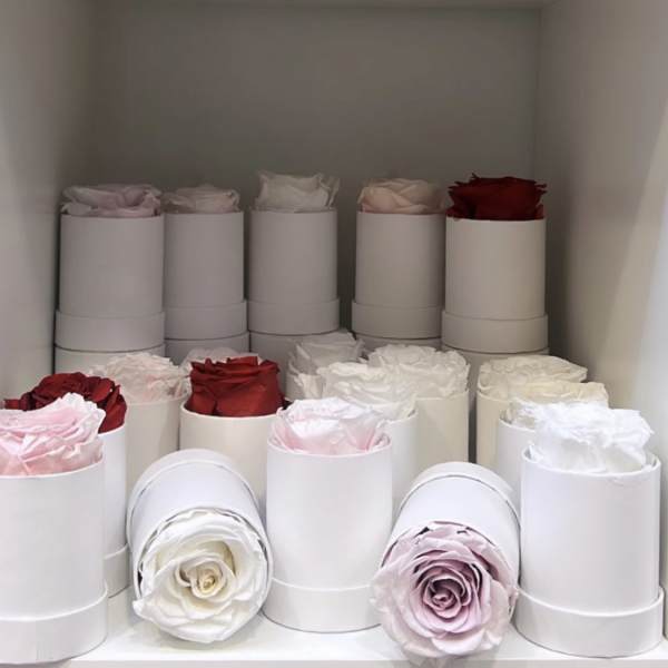 Assorted roses in white cylindrical boxes
