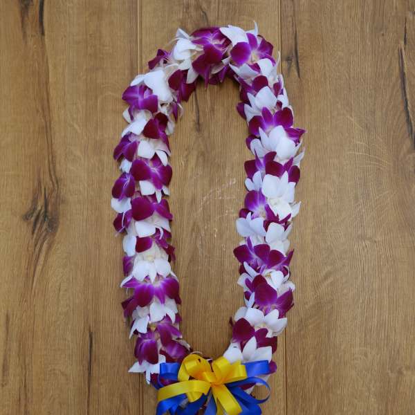 Purple and white orchid lei with blue and yellow ribbon bow
