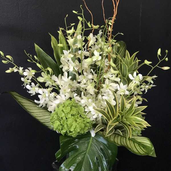 White orchid arrangement with green hydrangea and striped leaves in a vase