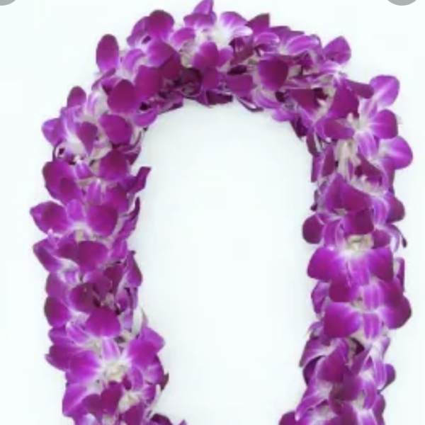 Purple orchid lei on a white background